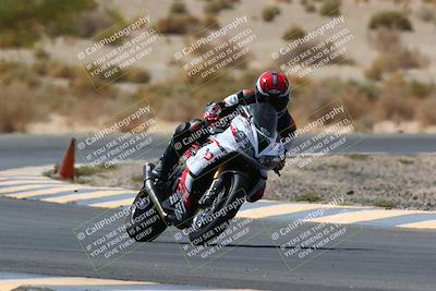 media/Apr-10-2022-SoCal Trackdays (Sun) [[f104b12566]]/Turn 5 Tree of Life (1040am)/